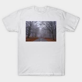 Road through forest, early winter T-Shirt